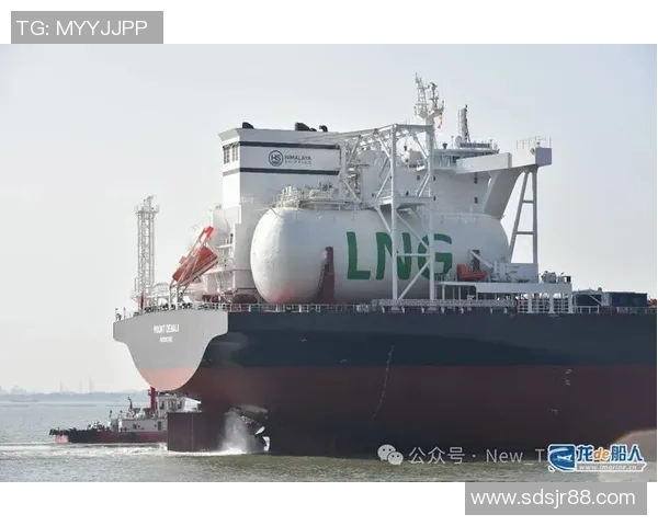 LNG在冠军杯中的灵活性表现分析与战术探讨